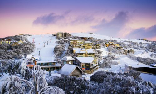 Day Tour to Mt Buller